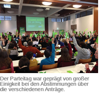 Abstimmung auf dem Grünen Parteitag.